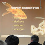 2012-04 Kurs Fizjopatologii Nurkowania